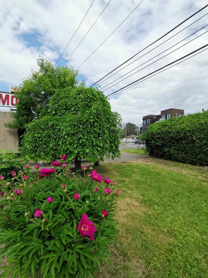 Motel Sainte Catherine Exterior foto
